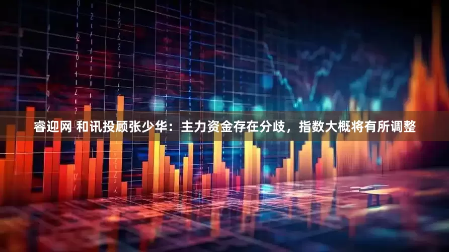 睿迎网 和讯投顾张少华：主力资金存在分歧，指数大概将有所调整