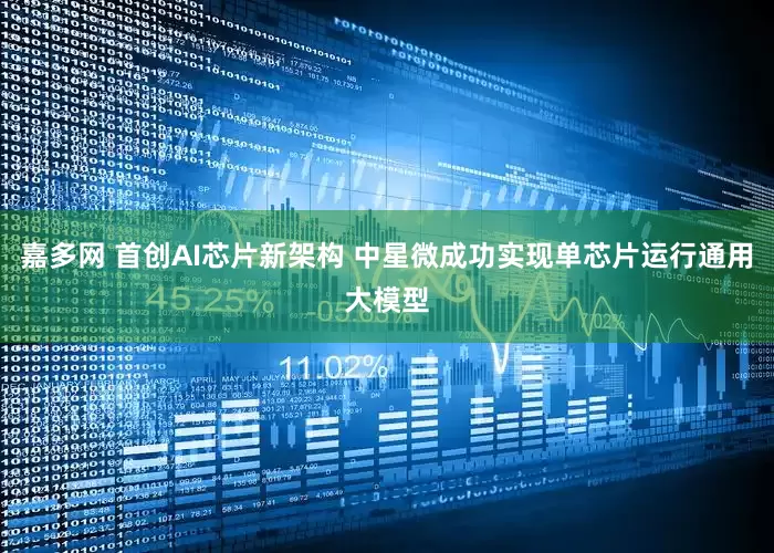 嘉多网 首创AI芯片新架构 中星微成功实现单芯片运行通用大模型