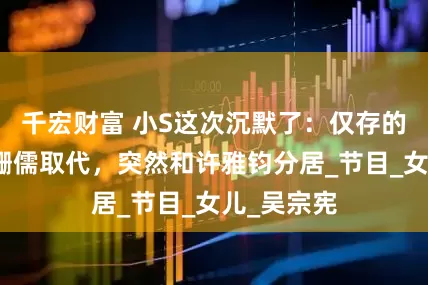 千宏财富 小S这次沉默了：仅存的工作被吴姗儒取代，突然和许雅钧分居_节目_女儿_吴宗宪