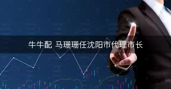 牛牛配 马珊珊任沈阳市代理市长
